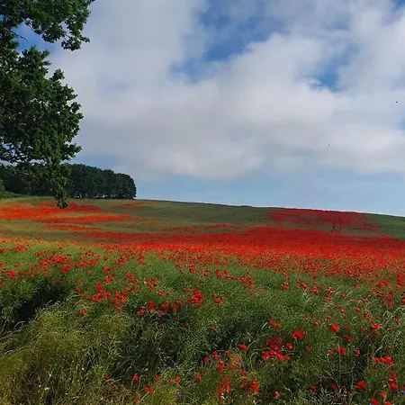 Am Yachthafen * Sellin (Usedom)