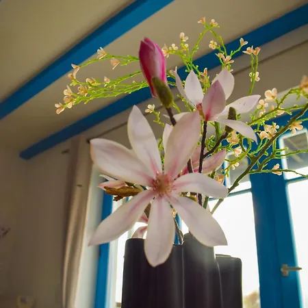 Apartment Am Yachthafen Sellin (Usedom)